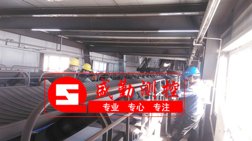 根據皮帶秤國標選擇皮帶秤 根據皮帶秤國標選擇皮帶秤