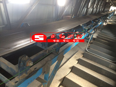 高夫菏澤生物質(zhì)皮帶秤_副本.jpg 高夫菏澤生物質(zhì)皮帶秤_副本.jpg