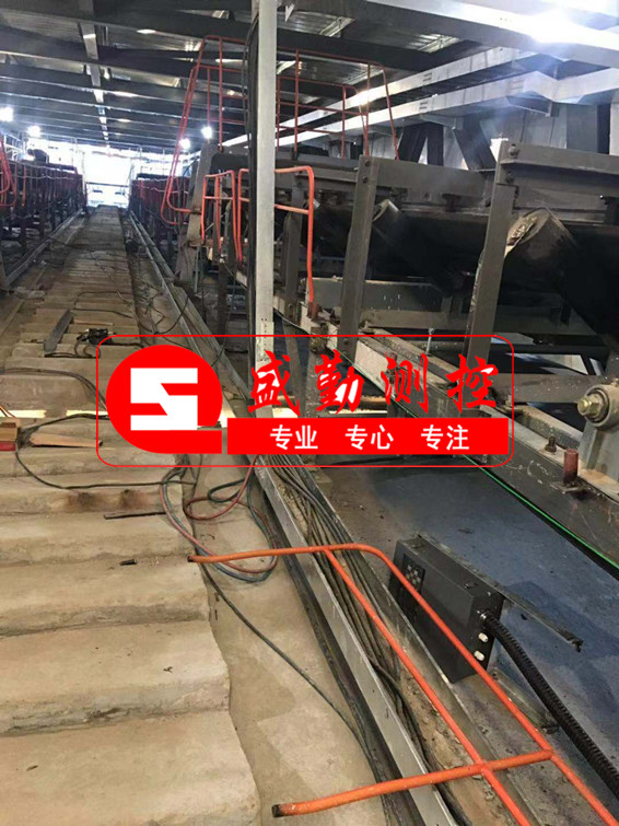 ���ҿ�Ƥ����Ͷ�a(ch��n)�\��